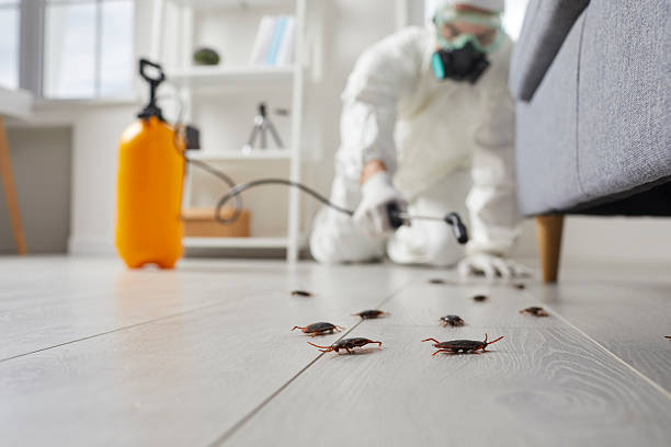 Trusted Termite Control service in McCaysville, GA - Nex Pest Control
