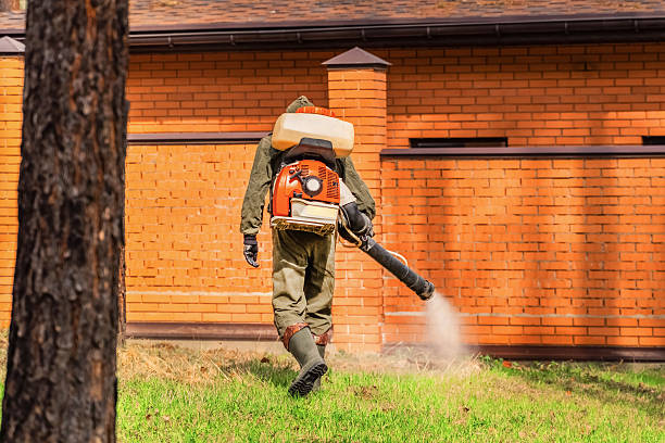 Trusted Emergency Pest Control service in McCaysville, GA - Nex Pest Control